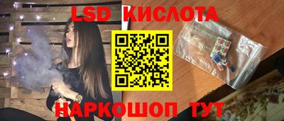 СК Гатчина