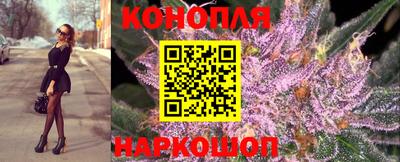 СК Гатчина