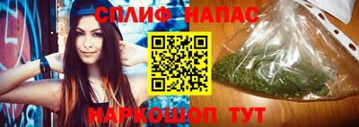 СК Гатчина