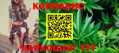 СК Гатчина