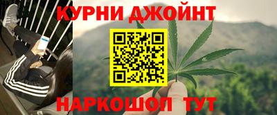 прущие крисы Гай