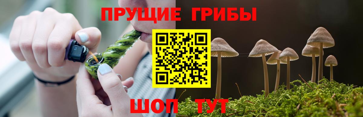Псилоцибиновые грибы Cubensis Кореновск